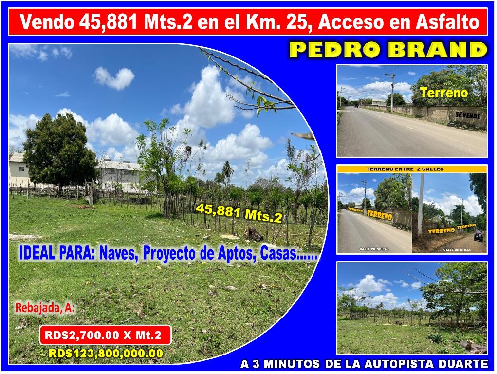 Vendo Terreno para NAVES APTOS en PEDRO BRAND 45881 Mts.2 REBAJADA a 3 Foto 7319157-1.jpg