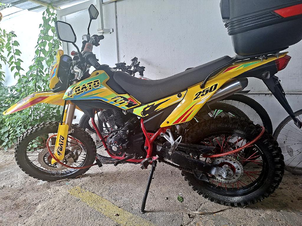 OPORTUNIDAD GATO GY250 NUEVO! EN BOCA CHICA  Foto 7319414-1.jpg