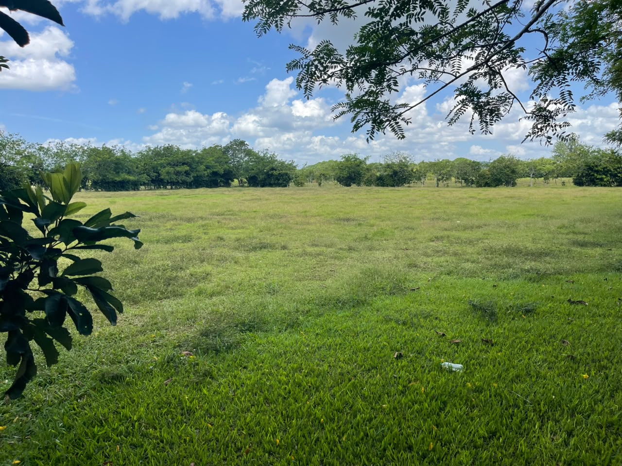 Vendo BELLA  Finca GANADERA CON SUS PASTOS 245 tareas en DON JUAN MONT Foto 7319615-15.jpg