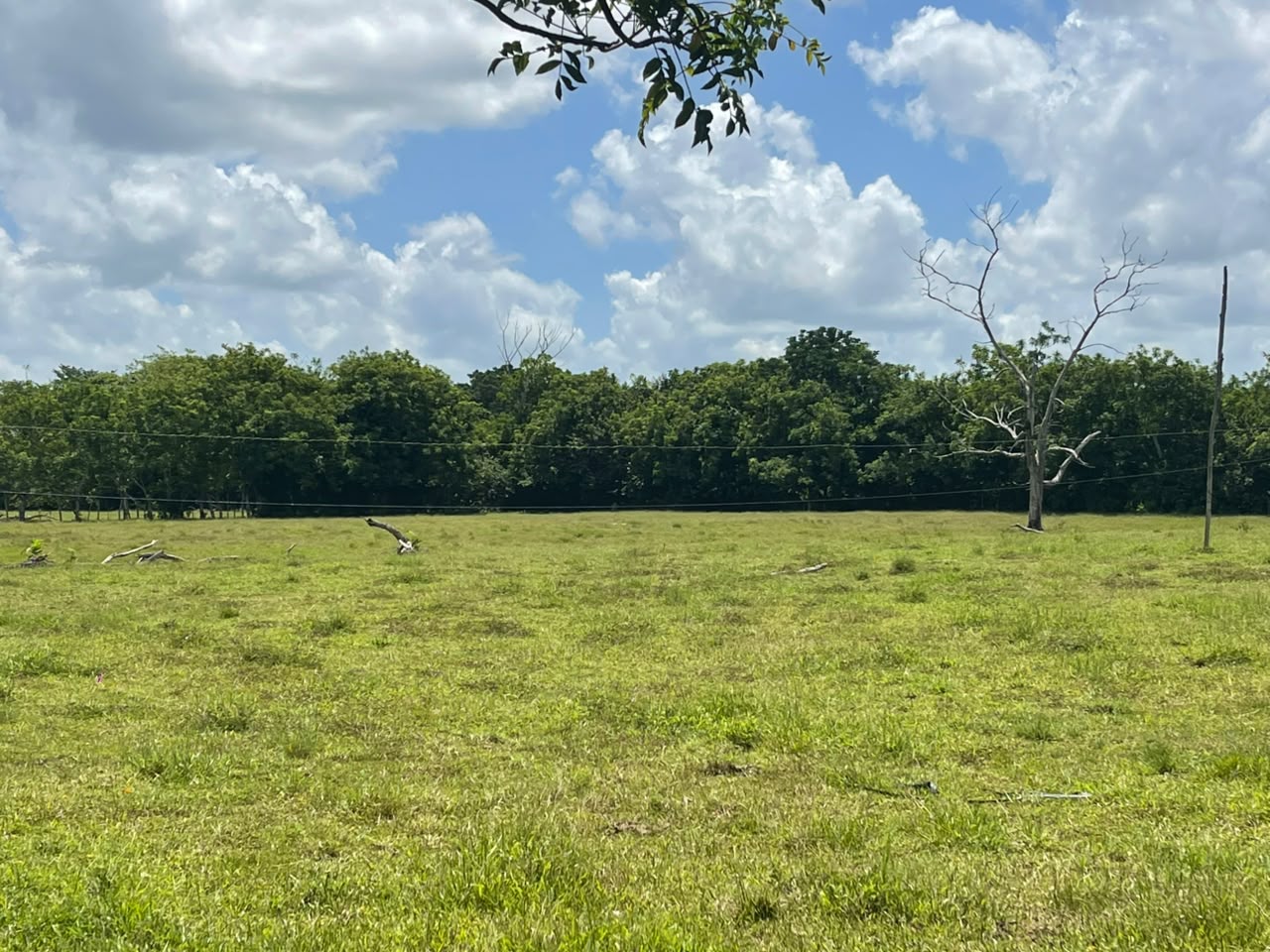 Vendo BELLA  Finca GANADERA CON SUS PASTOS 245 tareas en DON JUAN MONT Foto 7319615-2.jpg