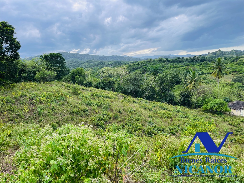 Finca de 2300 tareas en venta en imbert puerto plata  Foto 7319619-10.jpg