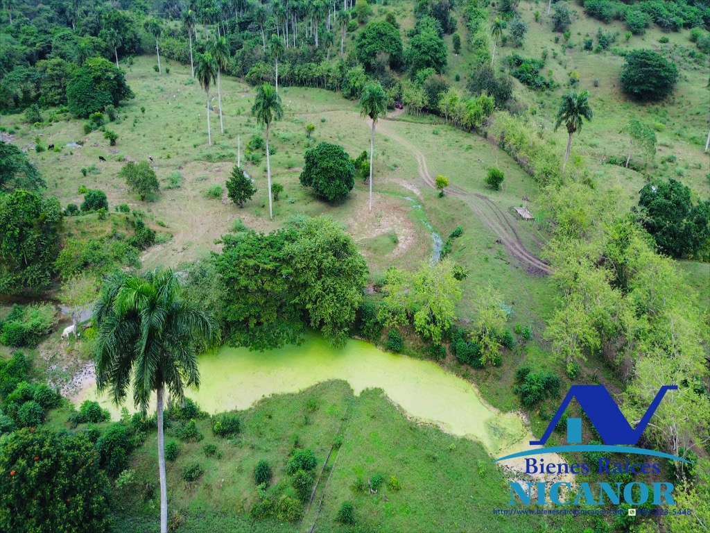 Finca de 2300 tareas en venta en imbert puerto plata  Foto 7319619-14.jpg