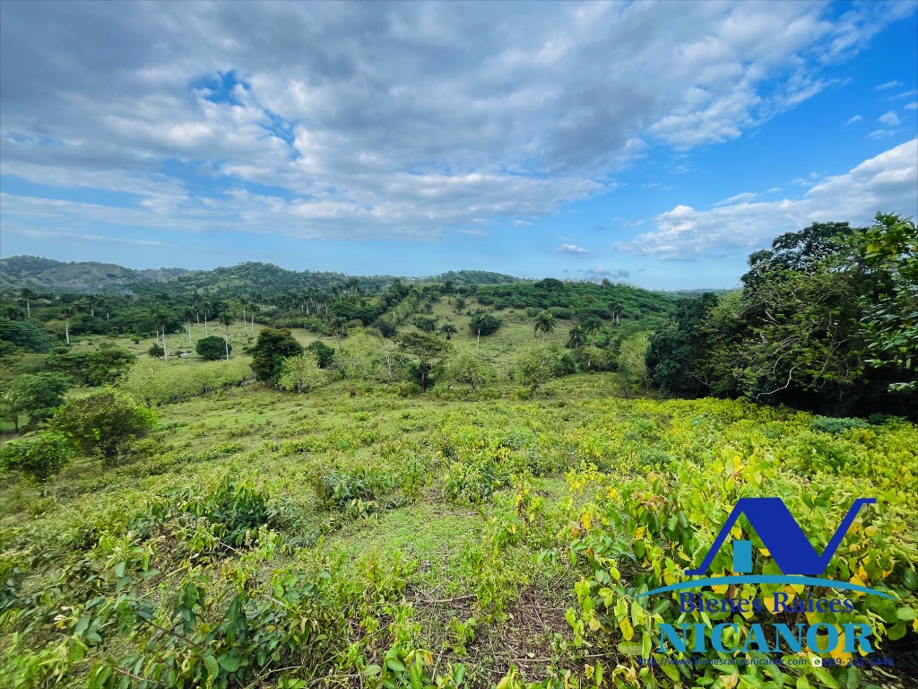 Finca de 2300 tareas en venta en imbert puerto plata  Foto 7319619-2.jpg