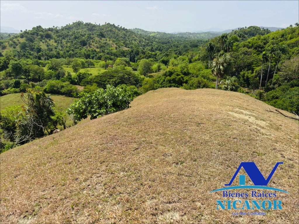 Finca de 825 taraes en venta  Foto 7319620-3.jpg