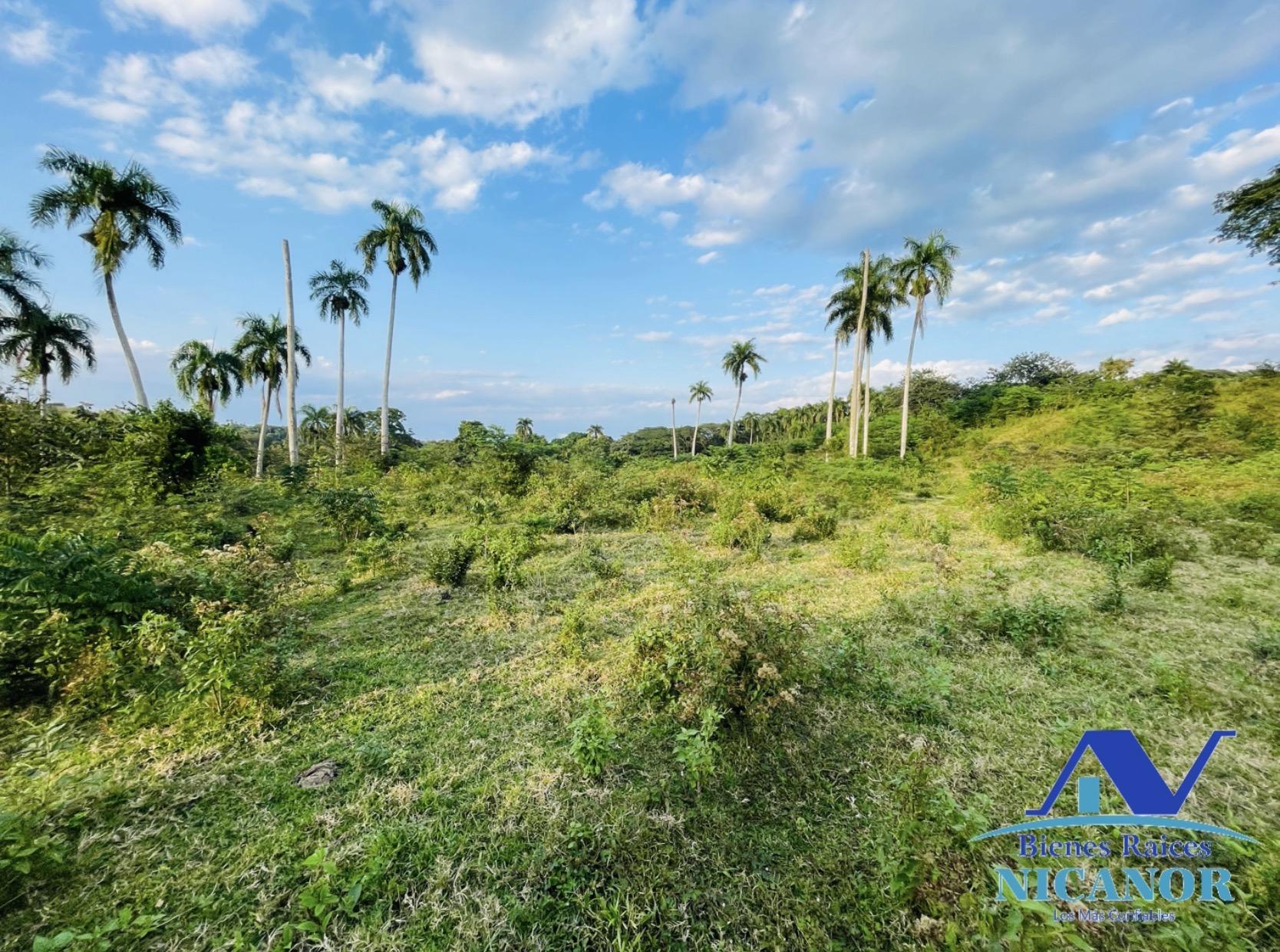 Finca de 1150 tareas en venta en Guananico  Foto 7319621-14.jpg