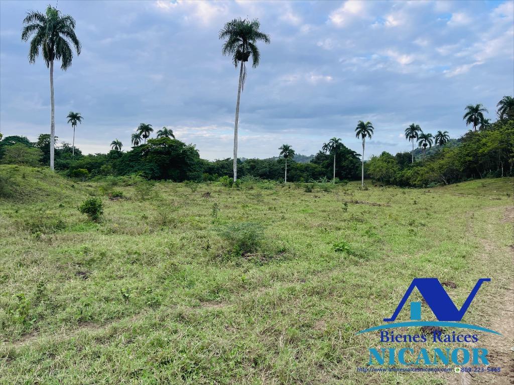 Finca de 5200 tareas en venta  Foto 7319623-1.jpg