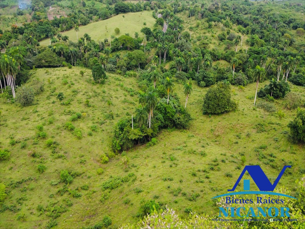 Finca de 5200 tareas en venta  Foto 7319623-10.jpg