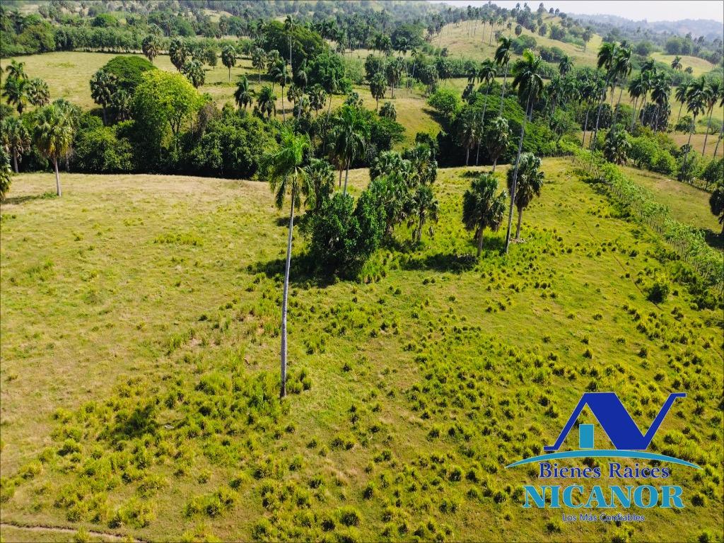 Finca de 1010 tareas en venta  Foto 7319626-2.jpg