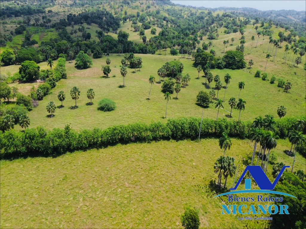 Finca de 1010 tareas en venta  Foto 7319626-8.jpg