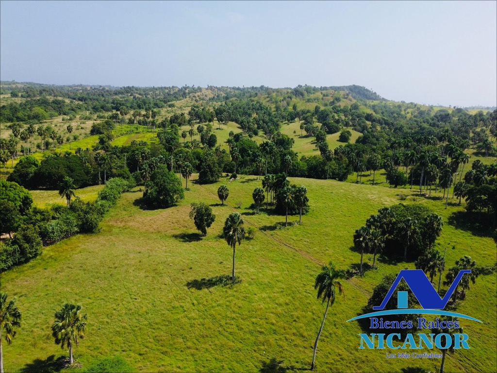 Finca de 1010 tareas en venta  Foto 7319626-9.jpg