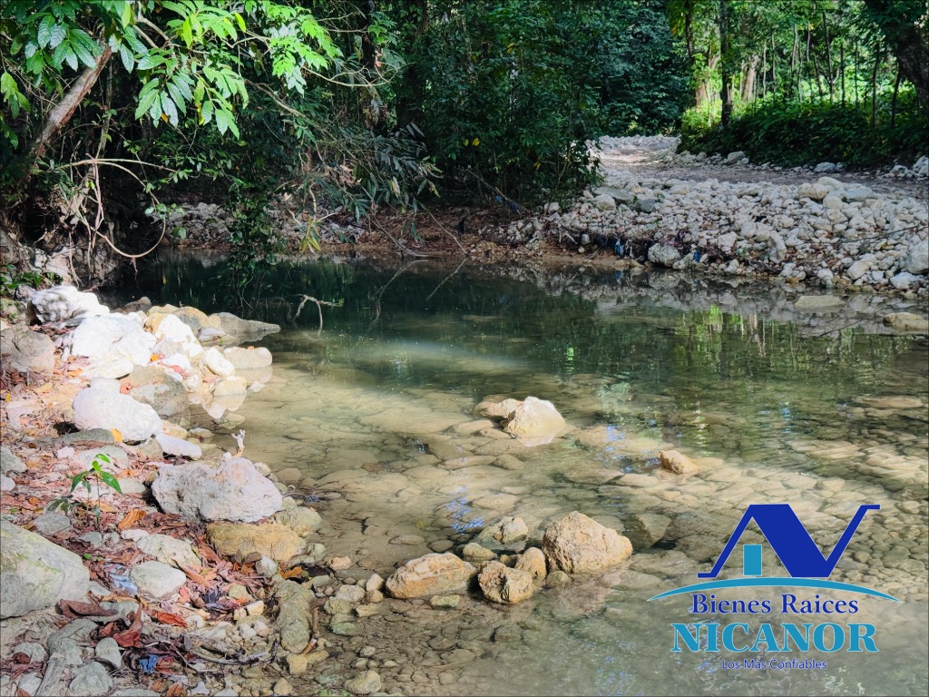 Finca de 278 tareas en venta en puerto plata Foto 7319628-13.jpg