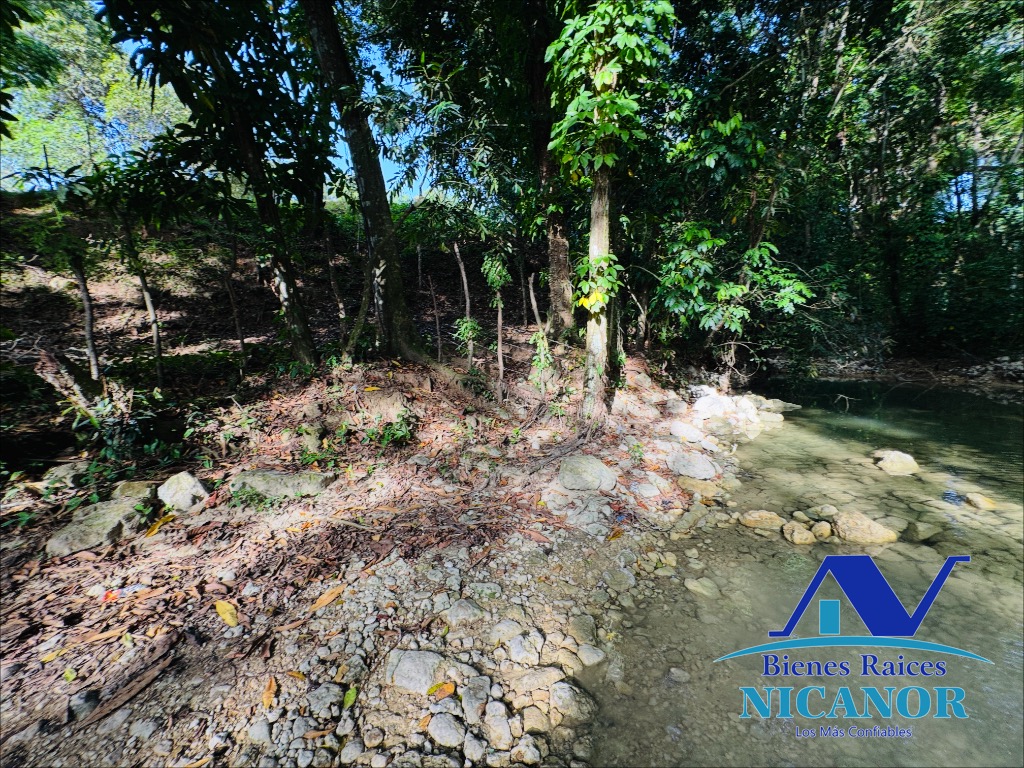 Finca de 278 tareas en venta en puerto plata Foto 7319628-14.jpg