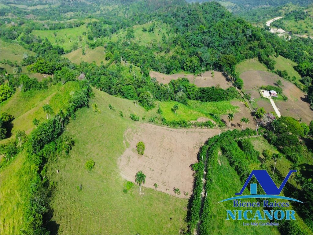 Finca de 278 tareas en venta en puerto plata Foto 7319628-2.jpg