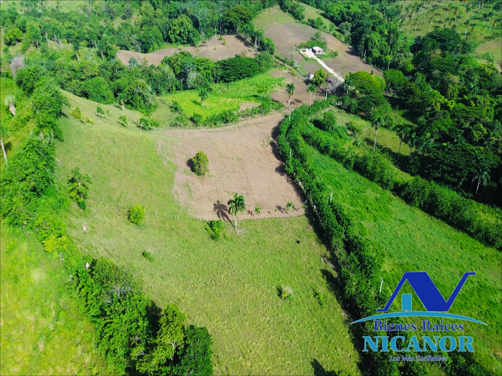 Finca de 278 tareas en venta en puerto plata Foto 7319628-3.jpg