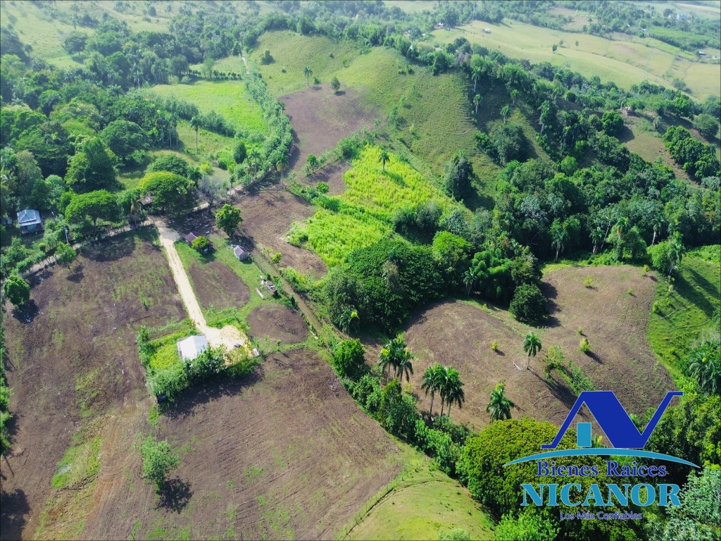 Finca de 278 tareas en venta en puerto plata Foto 7319628-4.jpg