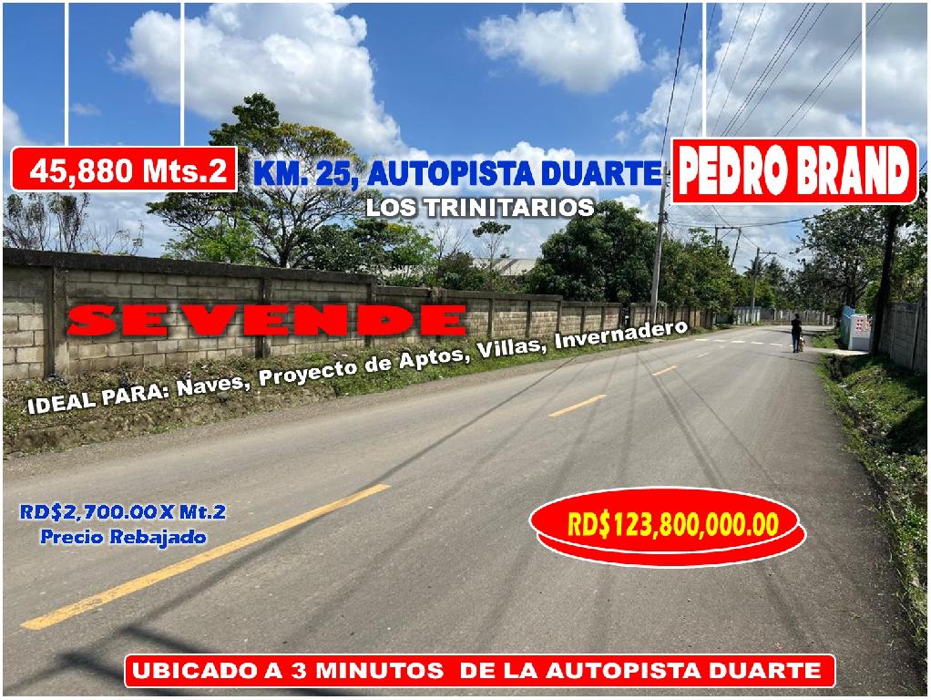 Vendo Terreno para NAVES APTOS en PEDRO BRAND 45881 Mts.2 REBAJADA a 3 Foto 7319976-1.jpg
