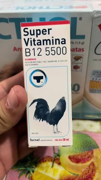 Vitamina B15-5500 Para grandes atletas Foto 7320744-1.jpg