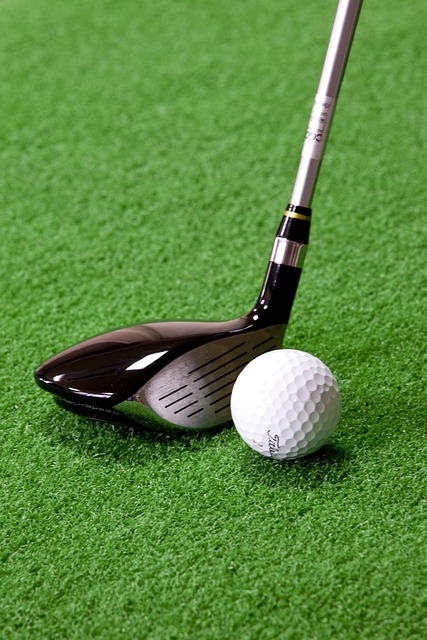bola de golf     Foto 7321341-1.jpg