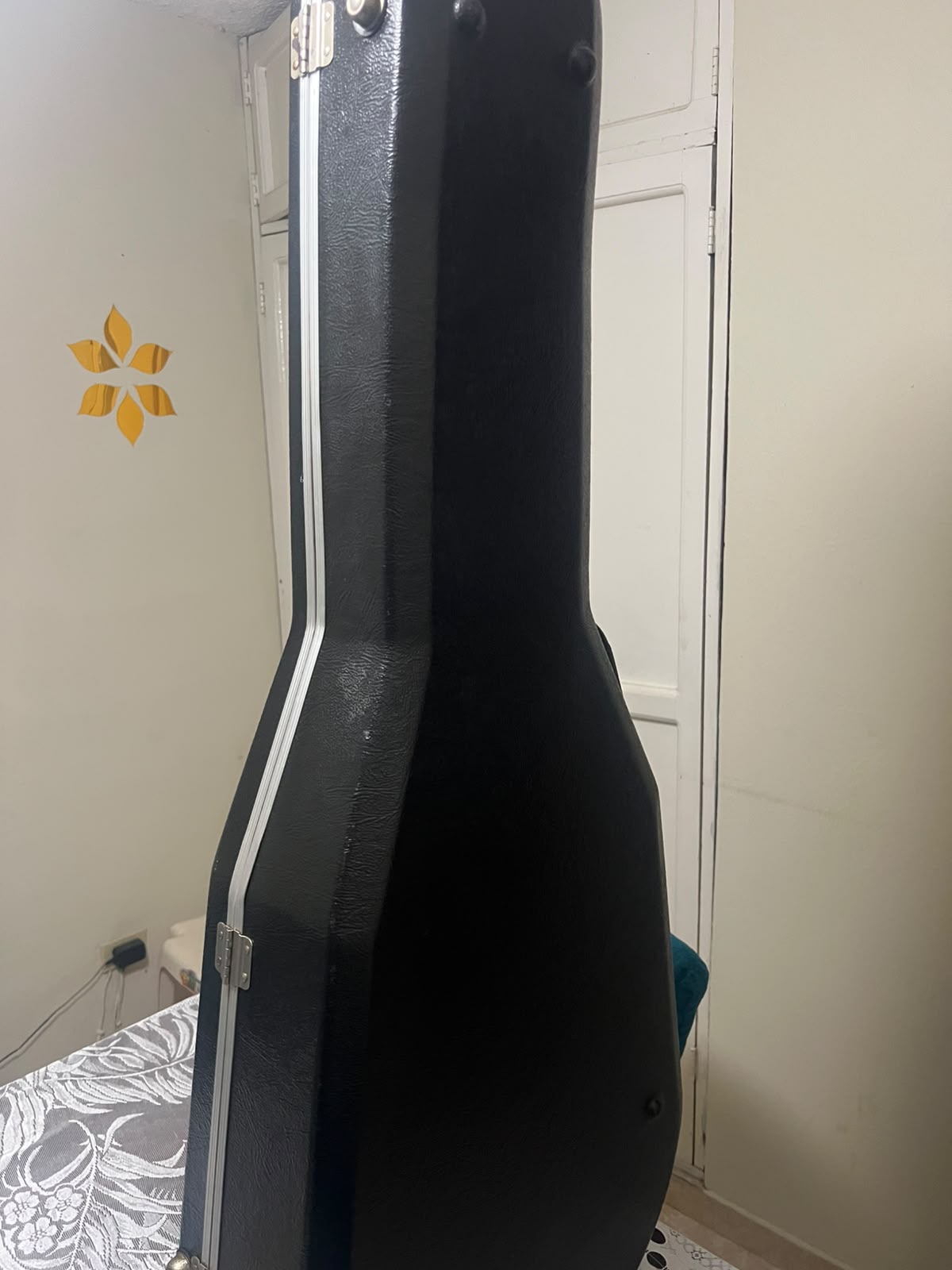Vendo Estuche para guitarra Foto 7321534-1.jpg