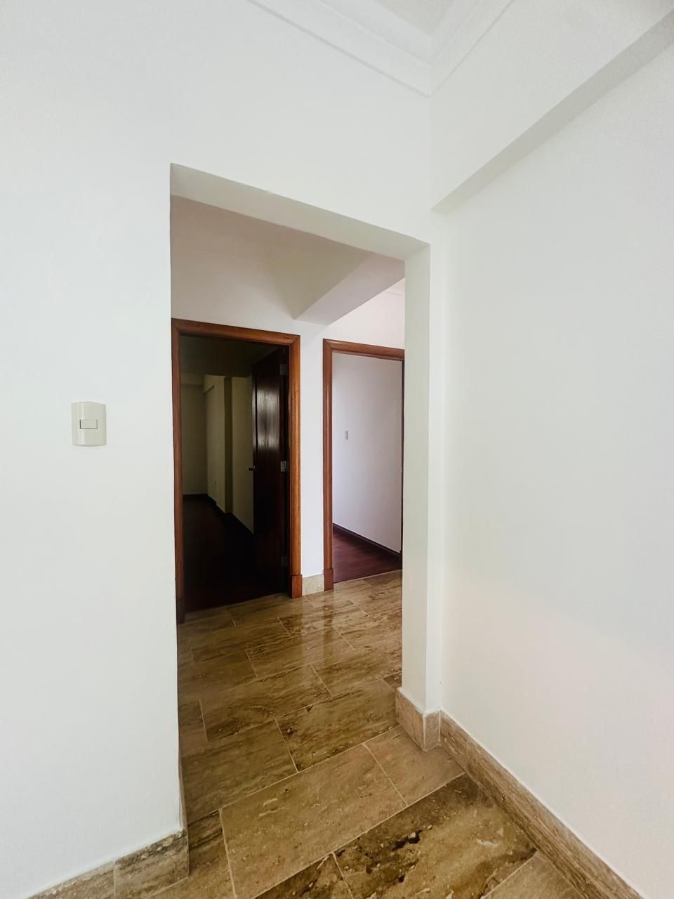 Amplio apartamento en Naco Foto 7321913-2.jpg