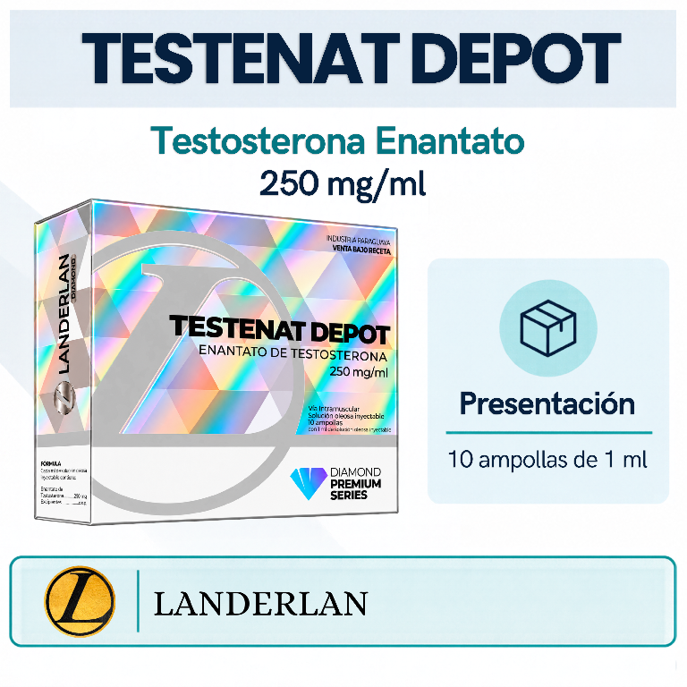 Testosterona Enantato 10 ampollas  250mg  Landerlan Foto 7322801-1.jpg