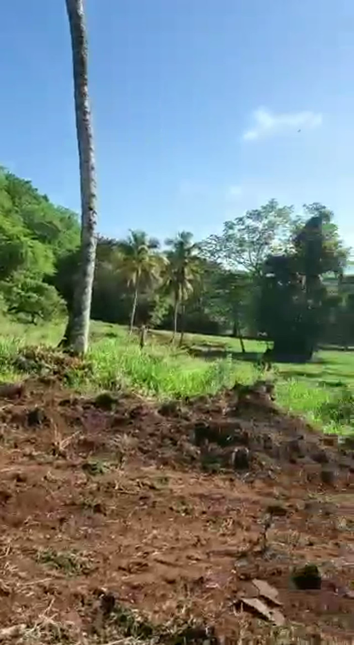 TERRENO EN VENTA  CARRETERA SAMANÁ–LAS GALERAS Foto 7323659-3.jpg