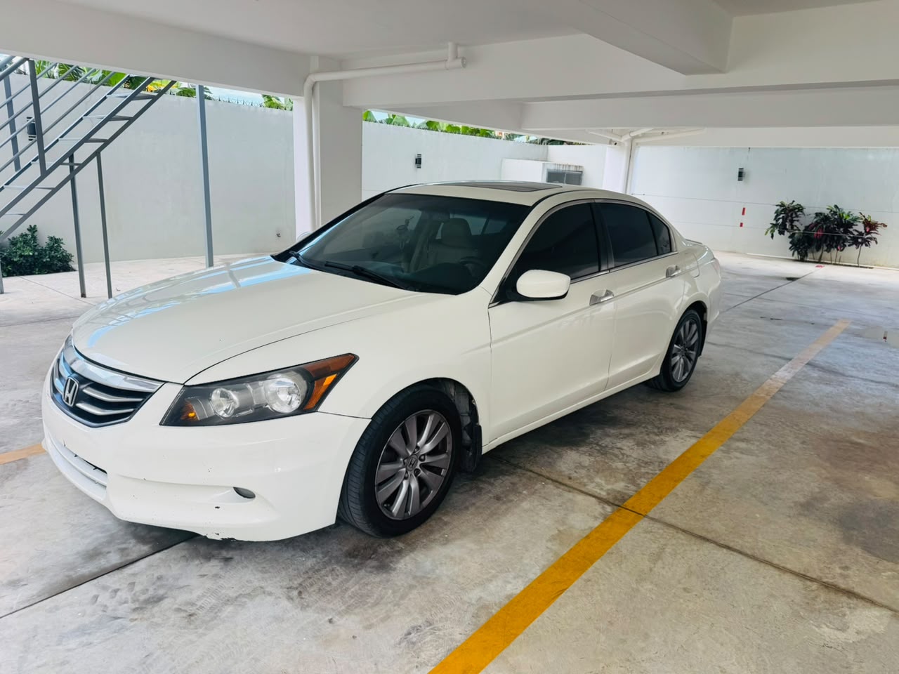 honda accord 2011 xle Foto 7323891-2.jpg