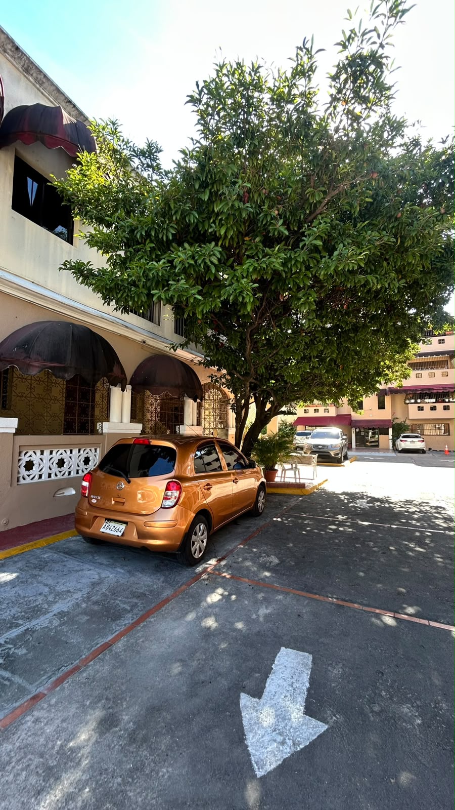 Apartamento  en venta en Gazcue Distrito Nacional Foto 7323910-2.jpg