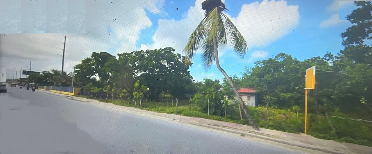 VENDO 26804 Mts.2 en la carretera VERON- PUNTA CANA A PASOS de la Nuev Foto 7323967-5.jpg