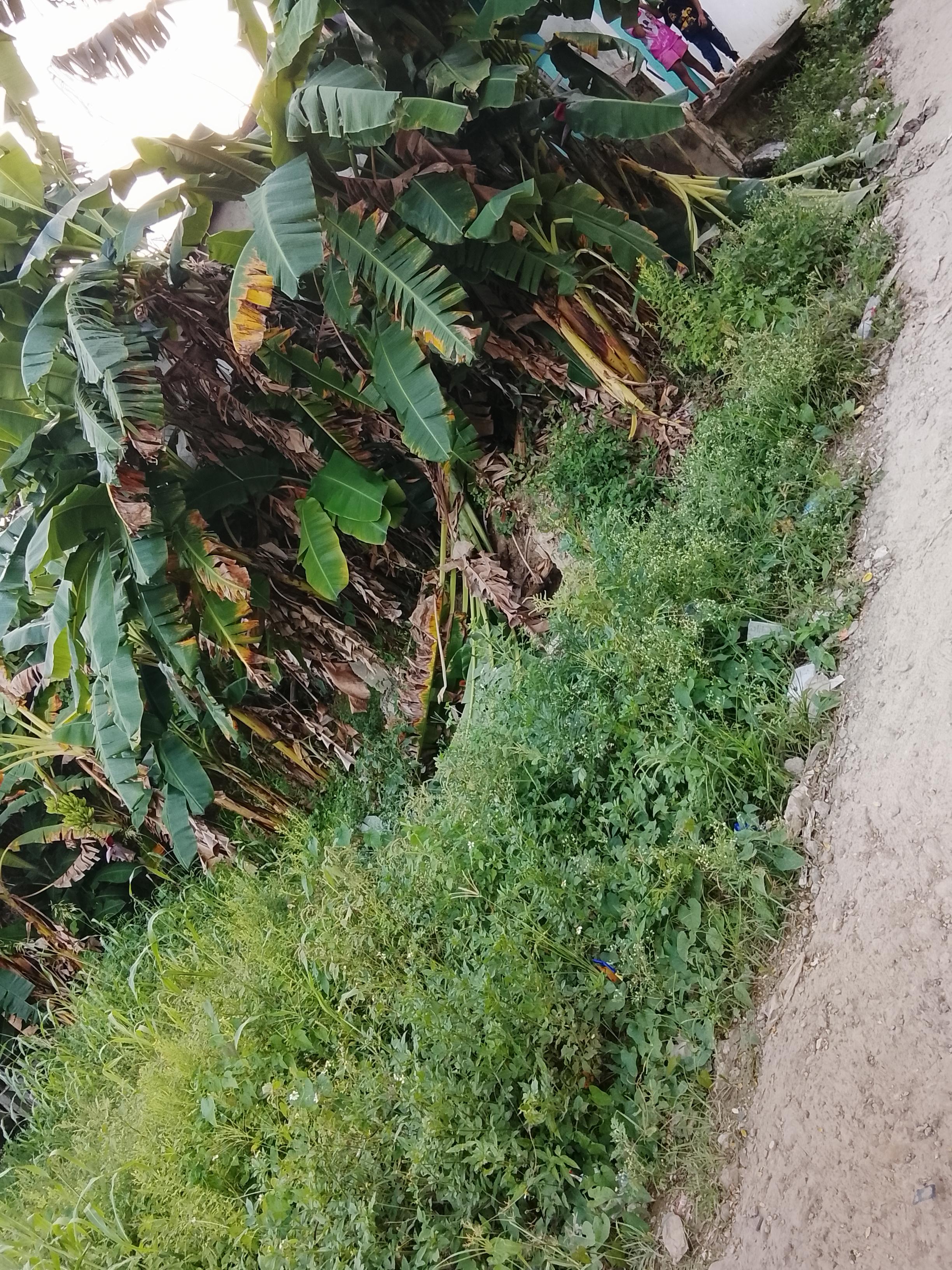 Vendo mejora sin título solo acto notarizado Foto 7324262-2.jpg