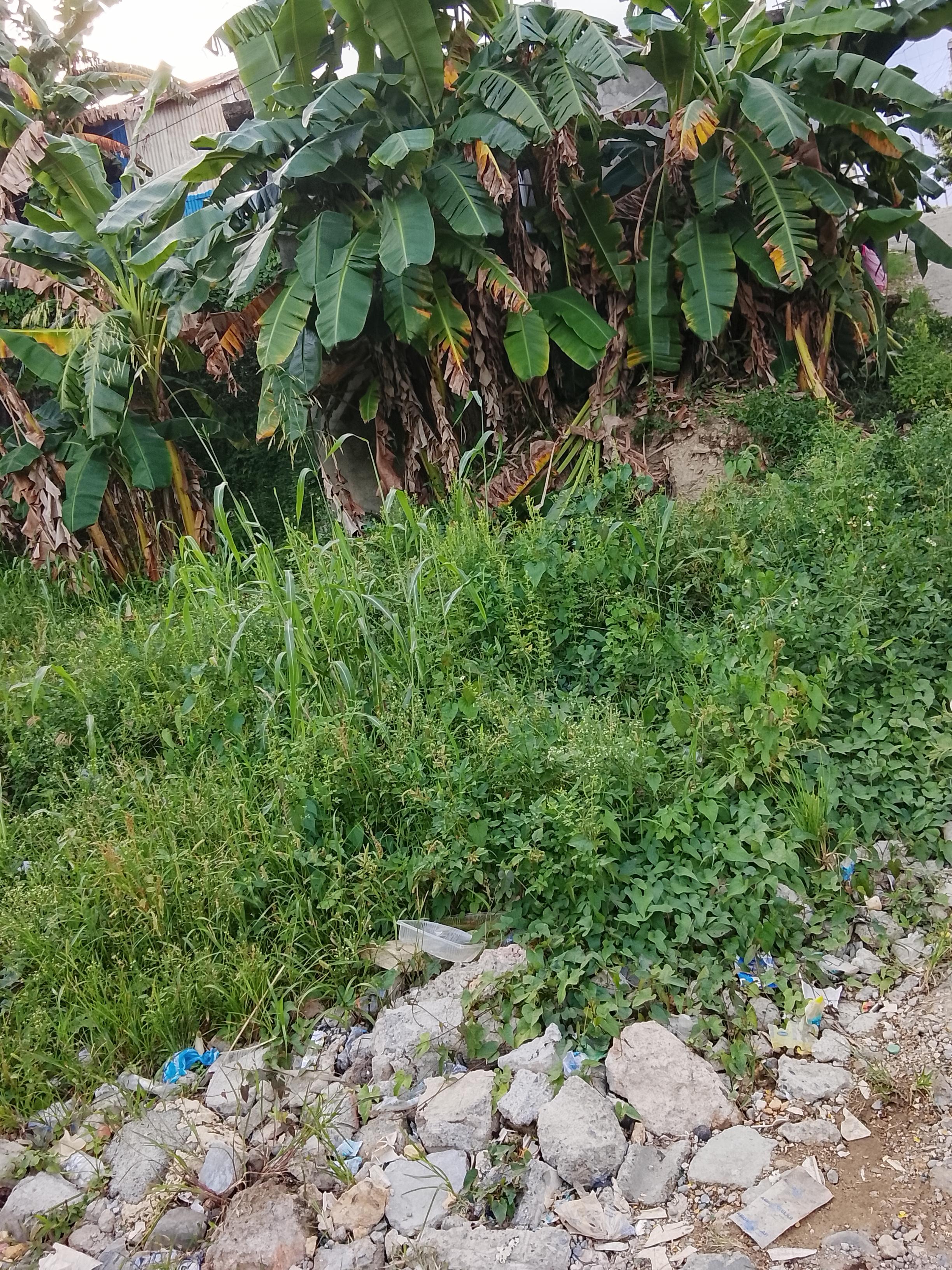 Vendo mejora sin título solo acto notarizado Foto 7324262-4.jpg