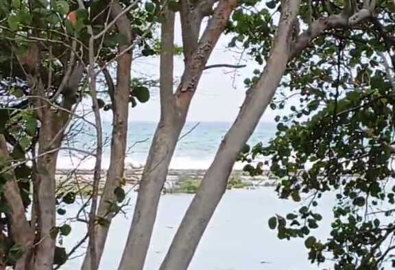 VENDO ESTE HERMOSO SOLAR DE PLAYA EN HAINA NIGUA Foto 7324329-6.jpg