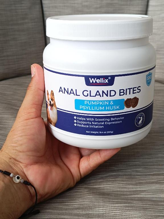 Suplemento masticable Wellix para la salud digestiva de tu perro Foto 7324713-2.jpg